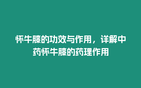 懷牛膝的功效與作用，詳解中藥懷牛膝的藥理作用