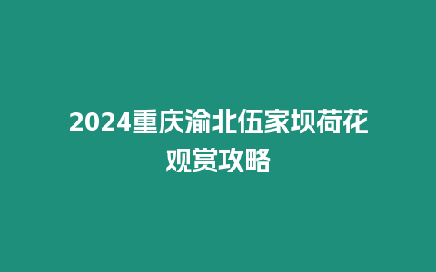 2024重慶渝北伍家壩荷花觀賞攻略