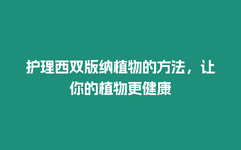 護理西雙版納植物的方法，讓你的植物更健康