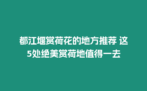 都江堰賞荷花的地方推薦 這5處絕美賞荷地值得一去