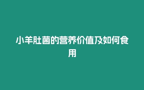 小羊肚菌的營養價值及如何食用