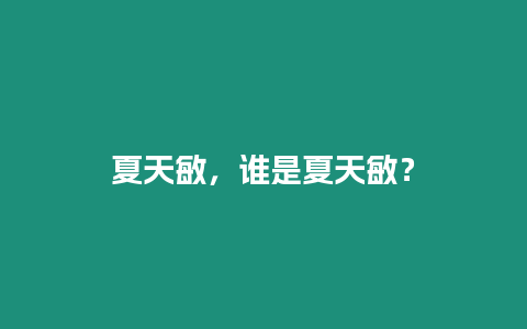 夏天敏，誰是夏天敏？