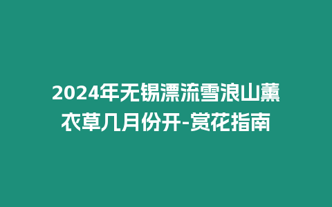 2024年無錫漂流雪浪山薰衣草幾月份開-賞花指南