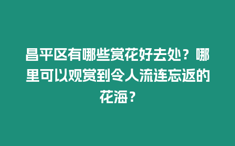 昌平區(qū)有哪些賞花好去處？哪里可以觀賞到令人流連忘返的花海？