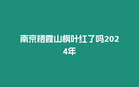 南京棲霞山楓葉紅了嗎2024年