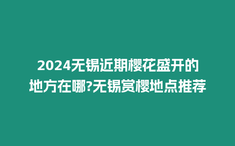 2024無錫近期櫻花盛開的地方在哪?無錫賞櫻地點推薦