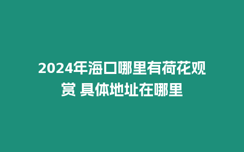 2024年海口哪里有荷花觀賞 具體地址在哪里