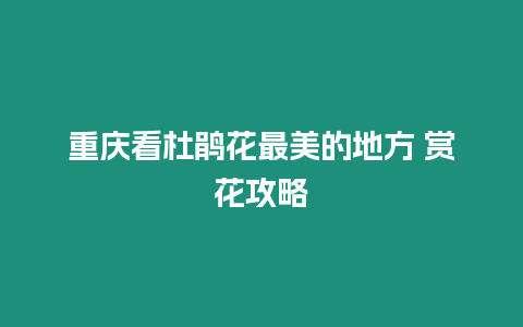 重慶看杜鵑花最美的地方 賞花攻略