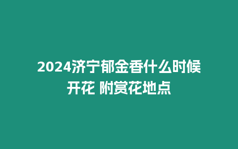 2024濟寧郁金香什么時候開花 附賞花地點