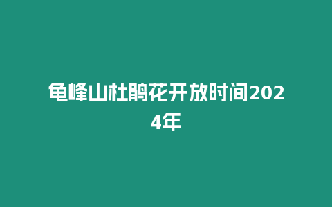 龜峰山杜鵑花開放時間2024年