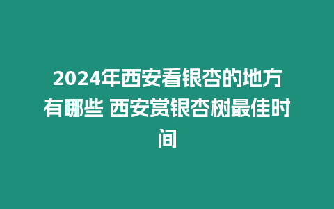 2024年西安看銀杏的地方有哪些 西安賞銀杏樹最佳時間