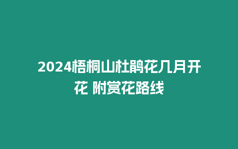 2024梧桐山杜鵑花幾月開花 附賞花路線