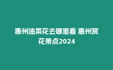 惠州油菜花去哪里看 惠州賞花景點2024