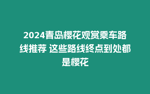 2024青島櫻花觀賞乘車路線推薦 這些路線終點到處都是櫻花