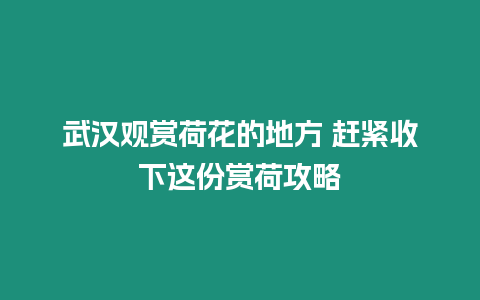 武漢觀賞荷花的地方 趕緊收下這份賞荷攻略