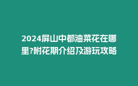 2024屏山中都油菜花在哪里?附花期介紹及游玩攻略