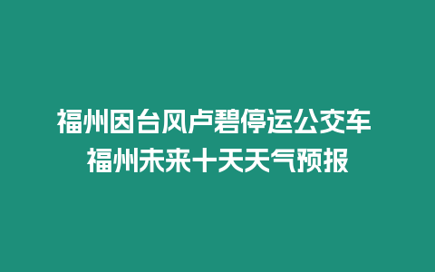 福州因臺風盧碧停運公交車 福州未來十天天氣預報