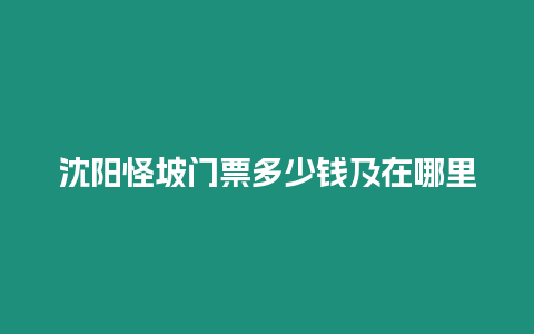 沈陽怪坡門票多少錢及在哪里