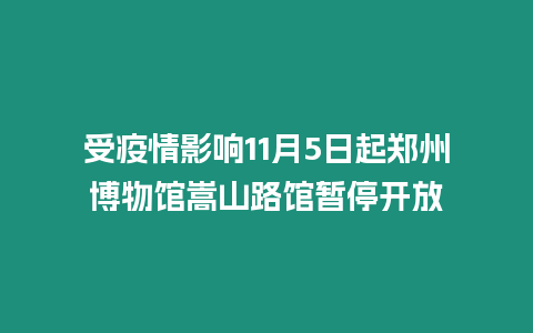 受疫情影響11月5日起鄭州博物館嵩山路館暫停開放