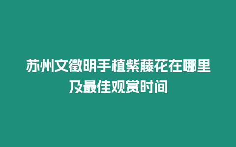 蘇州文徵明手植紫藤花在哪里及最佳觀賞時間