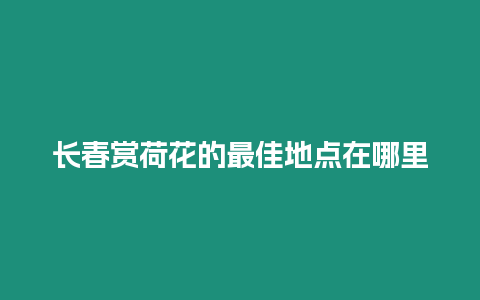 長春賞荷花的最佳地點在哪里