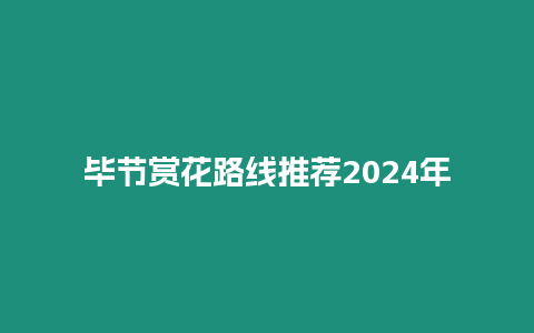 畢節賞花路線推薦2024年