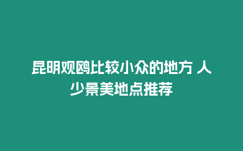 昆明觀鷗比較小眾的地方 人少景美地點(diǎn)推薦