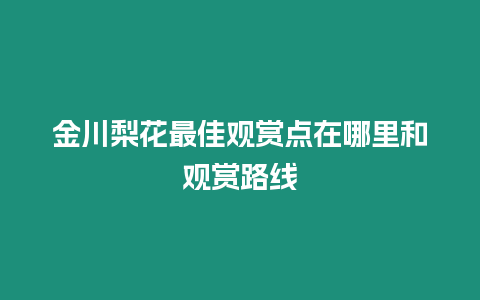 金川梨花最佳觀賞點在哪里和觀賞路線