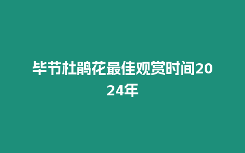 畢節(jié)杜鵑花最佳觀賞時間2024年