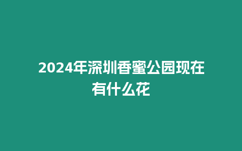 2024年深圳香蜜公園現(xiàn)在有什么花