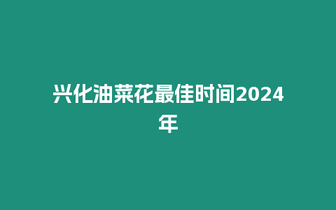 興化油菜花最佳時間2024年