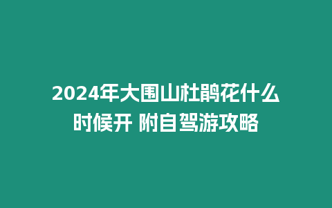 2024年大圍山杜鵑花什么時候開 附自駕游攻略