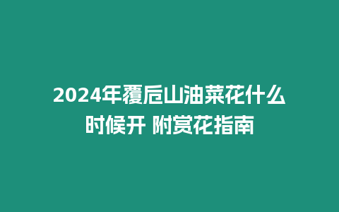 2024年覆卮山油菜花什么時候開 附賞花指南