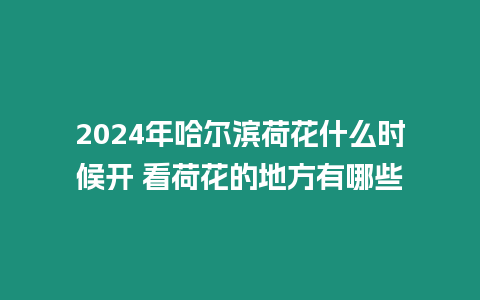 2024年哈爾濱荷花什么時候開 看荷花的地方有哪些