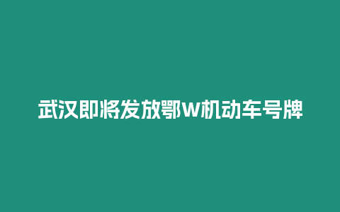 武漢即將發(fā)放鄂W機(jī)動(dòng)車號(hào)牌