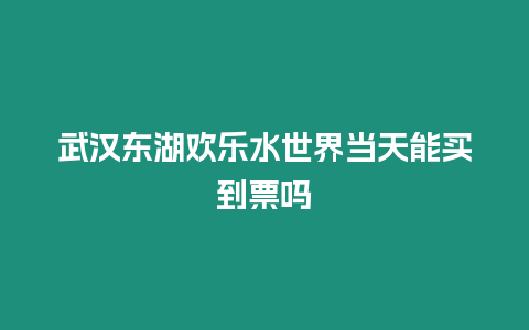 武漢東湖歡樂水世界當天能買到票嗎