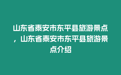 山東省泰安市東平縣旅游景點，山東省泰安市東平縣旅游景點介紹