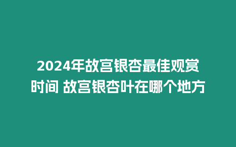 2024年故宮銀杏最佳觀賞時間 故宮銀杏葉在哪個地方