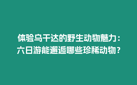 體驗烏干達的野生動物魅力：六日游能邂逅哪些珍稀動物？