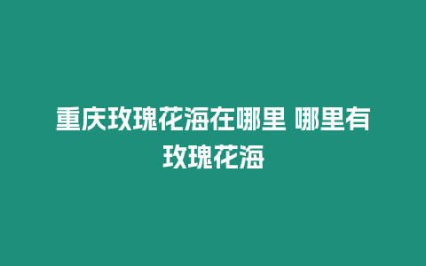 重慶玫瑰花海在哪里 哪里有玫瑰花海