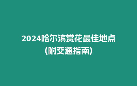 2024哈爾濱賞花最佳地點(diǎn)(附交通指南)