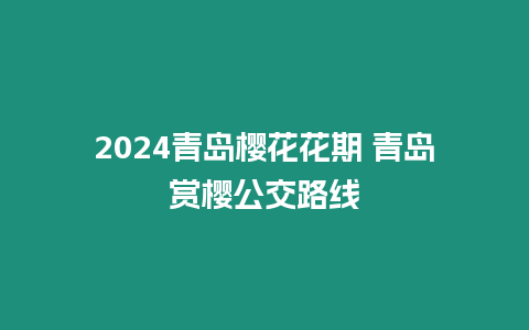 2024青島櫻花花期 青島賞櫻公交路線