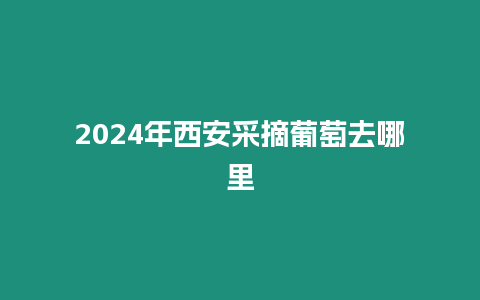 2024年西安采摘葡萄去哪里