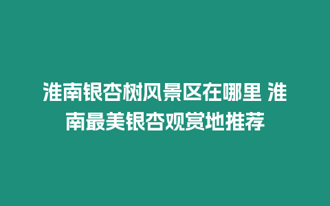 淮南銀杏樹風景區(qū)在哪里 淮南最美銀杏觀賞地推薦