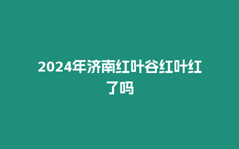 2024年濟南紅葉谷紅葉紅了嗎