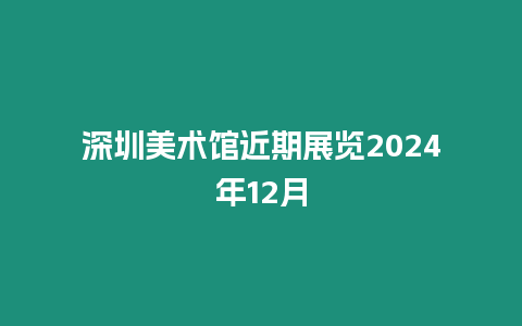 深圳美術館近期展覽2024年12月