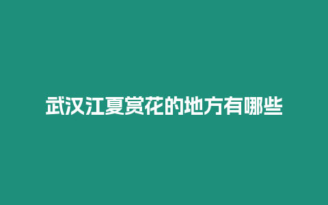 武漢江夏賞花的地方有哪些