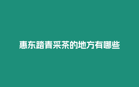 惠東踏青采茶的地方有哪些