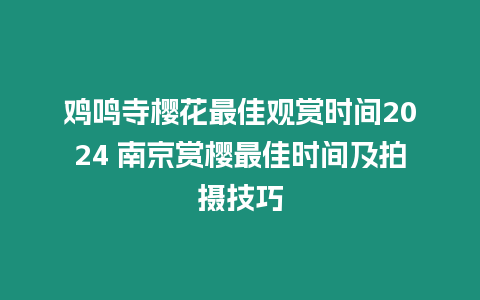 雞鳴寺櫻花最佳觀賞時(shí)間2024 南京賞櫻最佳時(shí)間及拍攝技巧