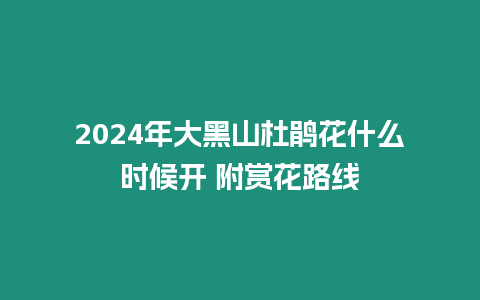 2024年大黑山杜鵑花什么時候開 附賞花路線